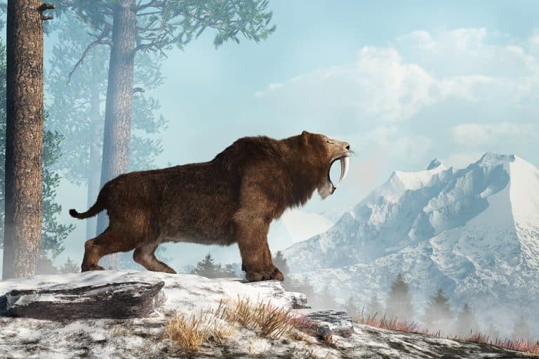 15 Cute Extinct Animals We Wish Were Still Living