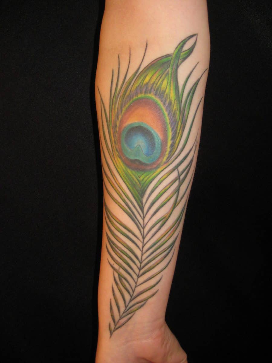 Peacock Feather Tattoo on Inner Arm