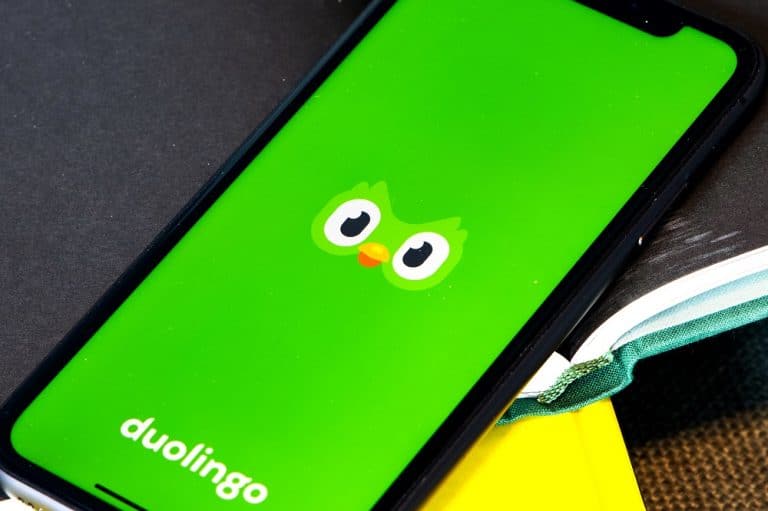 24 Hilarious Duolingo Memes