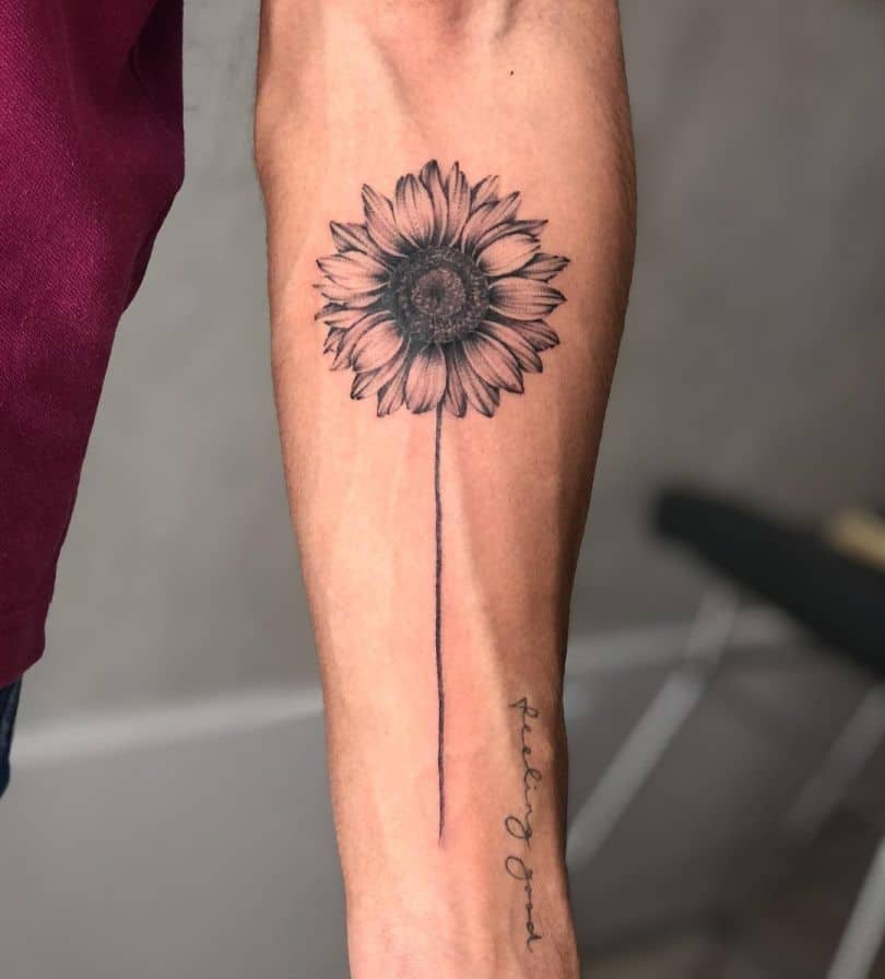 Minimalist black and grey sunflower tattoo on forearm with fine line details, a long thin stem, and subtle shading for a delicate look.