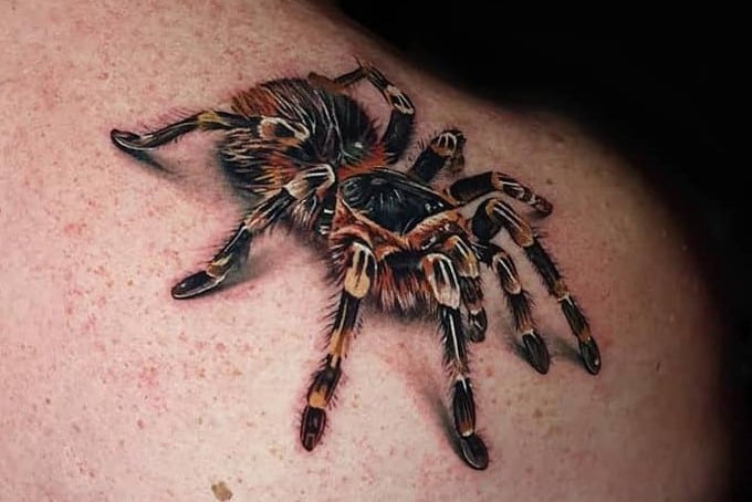 3D-Tarantula-Spider-Tattoo-dean.gunther