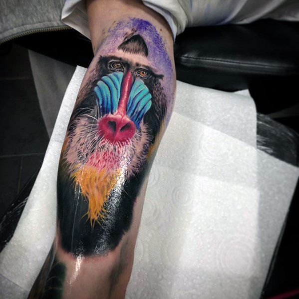 Realistic baboon tattoo on forearm with vibrant colors and detailed shading, featuring intense eyes and striking blue and red facial markings.