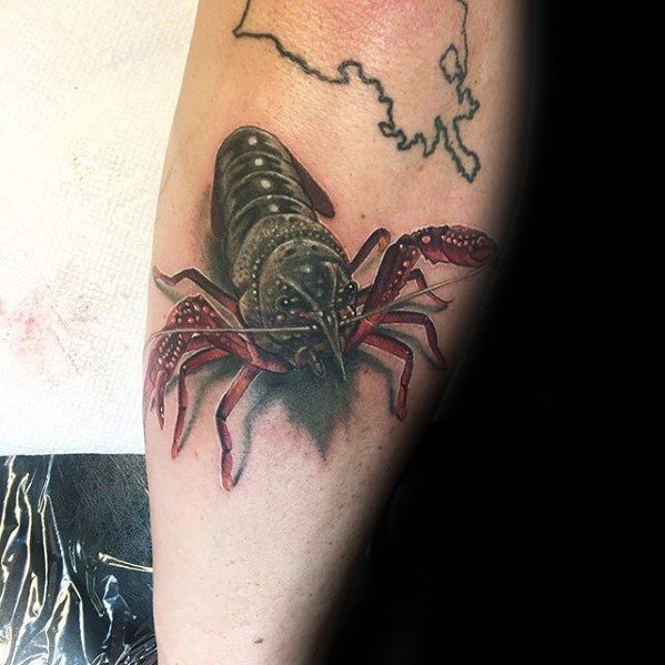 3d Distinctive Male Crawfish Tattoo Designs On Outer Forearm