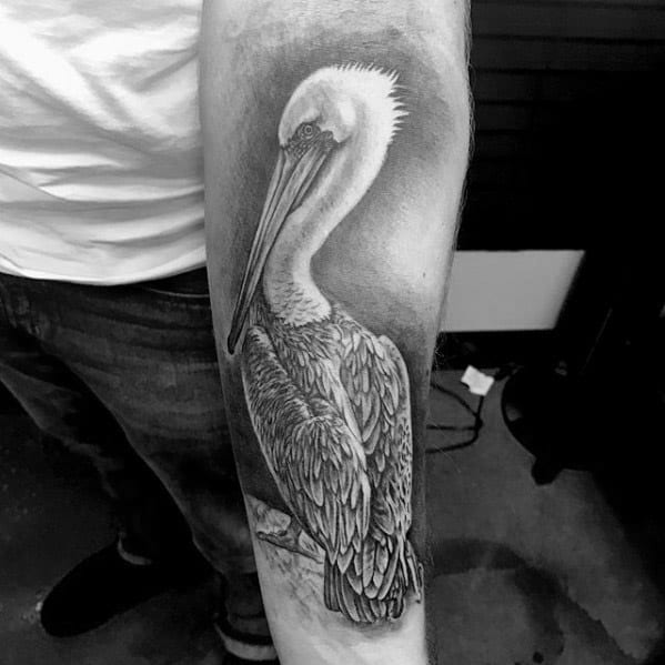 3d Heavily Shaded Inner Forearm 3d Male Cool Pelican Tattoo Ideas
