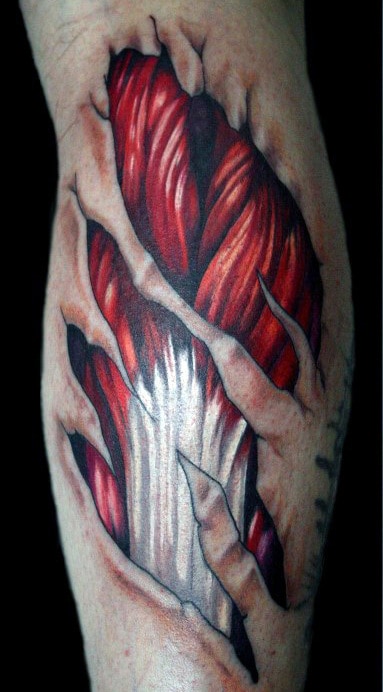 3d Muscle Fibers Mens Leg Calf Tattoo