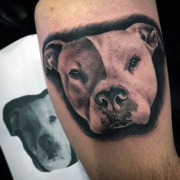 3d Pitbull Mens Tattoo Designs