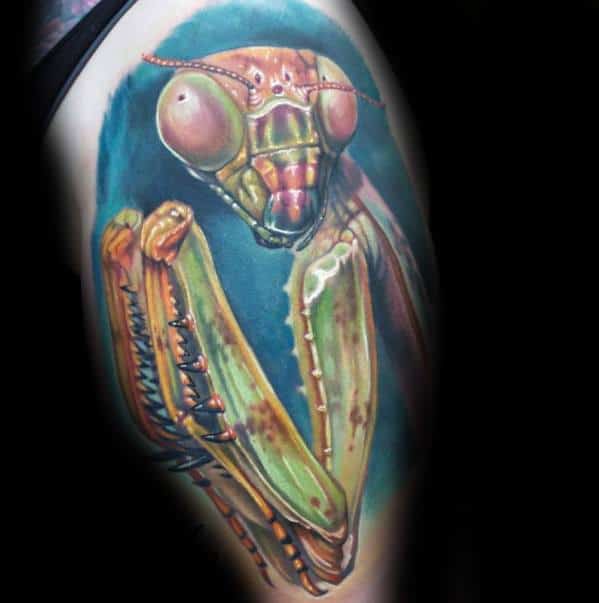 3d Praying Mantis Tattoos For Gentlemen