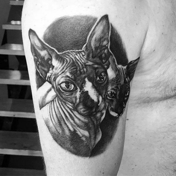 Realistic black and gray Sphynx cat tattoo on upper arm, featuring detailed shading and lifelike eyes for a bold, artistic look.