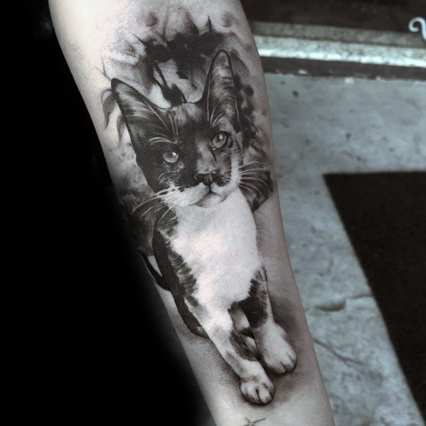Realistic black and white cat tattoo on the forearm, featuring fine details, expressive eyes, and artistic shading for a bold design.