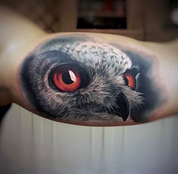 3d Realistic Owl Animal Bicep Tattoos For Guys