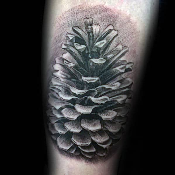3d Realistic Pine Cone Mens Forearm Tattoos