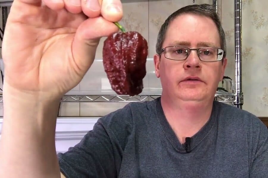 7 Pot Douglah - 1,853l 936 SHU