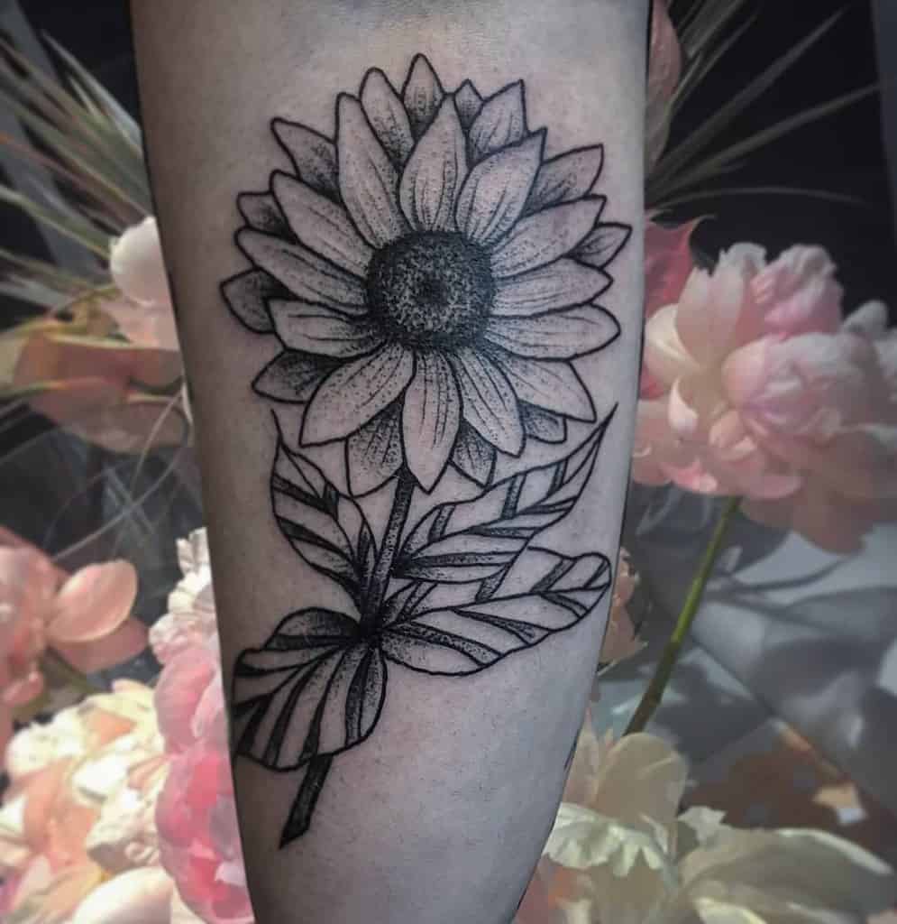 Black and grey sunflower tattoo on forearm with bold outlines, fine shading, and large detailed leaves for a striking floral design.