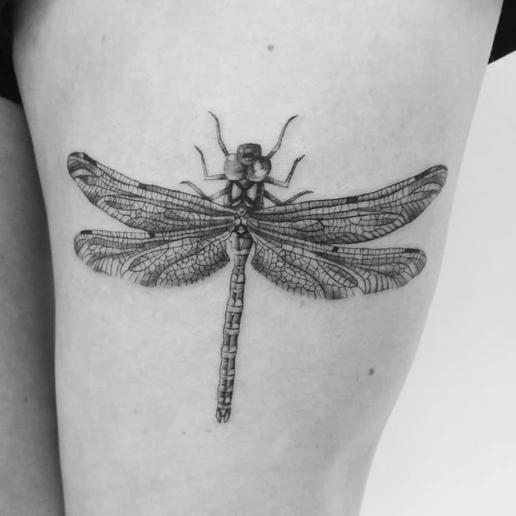 Highly detailed black and grey dragonfly tattoo on the thigh, featuring intricate wing patterns and fine shading for a realistic effect.