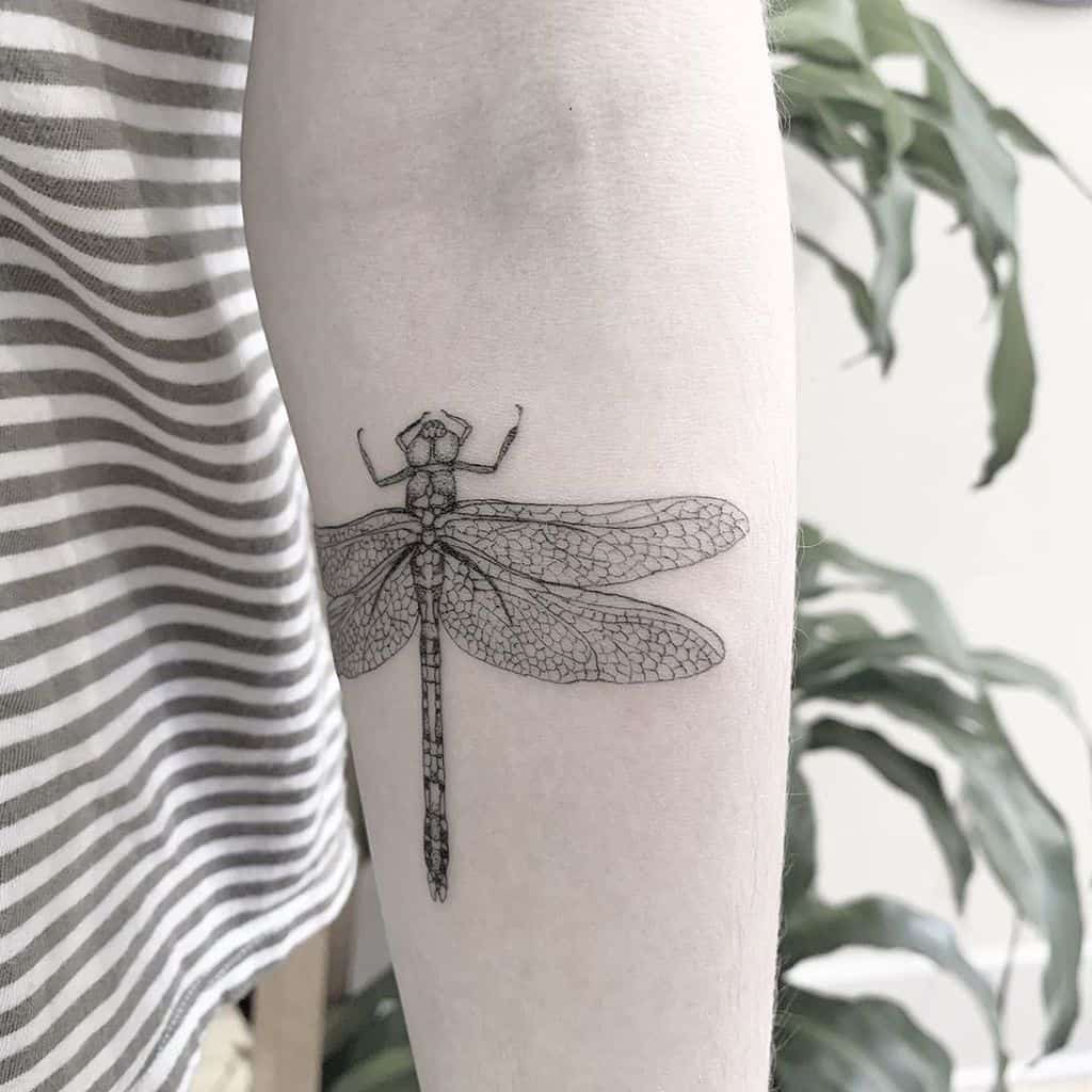 Minimalist black ink dragonfly tattoo on the forearm, featuring fine linework and intricate wing details for a delicate look.
