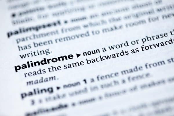 85 Great Palindrome Examples