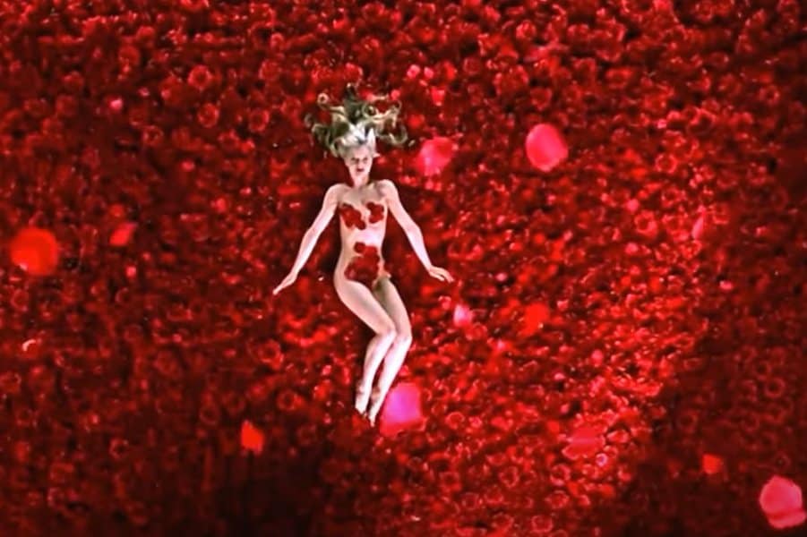 American Beauty - Roses