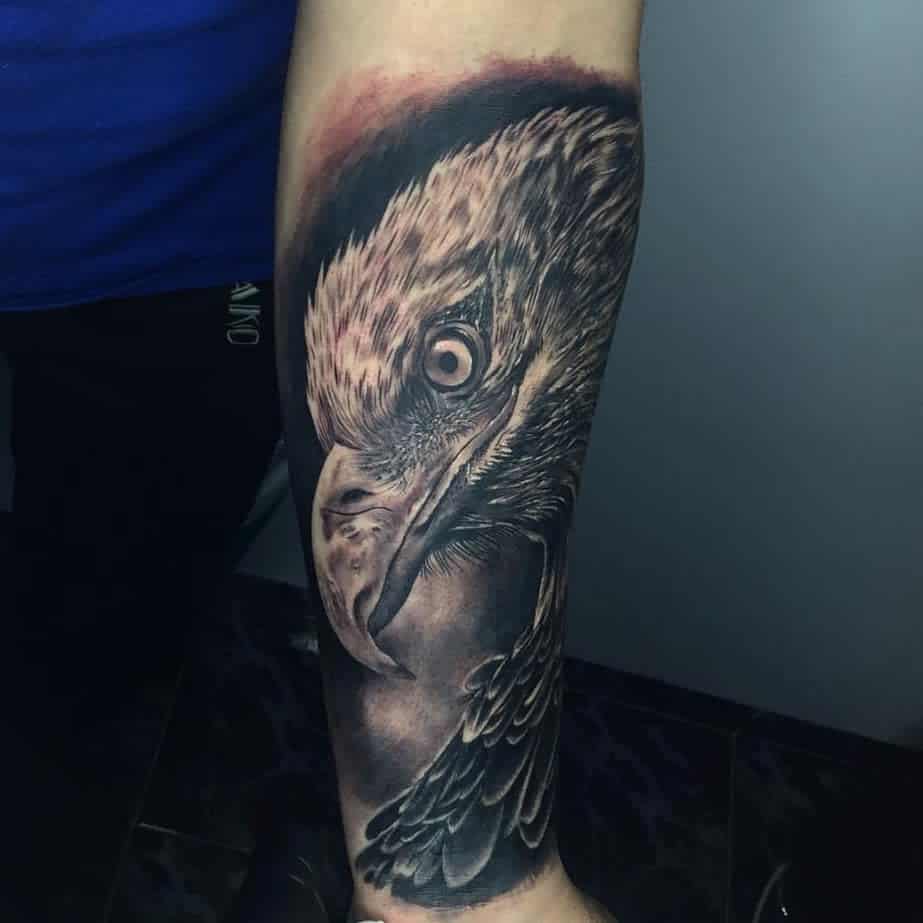 Forearm tattoo of a detailed eagle head and neck in black and gray ink