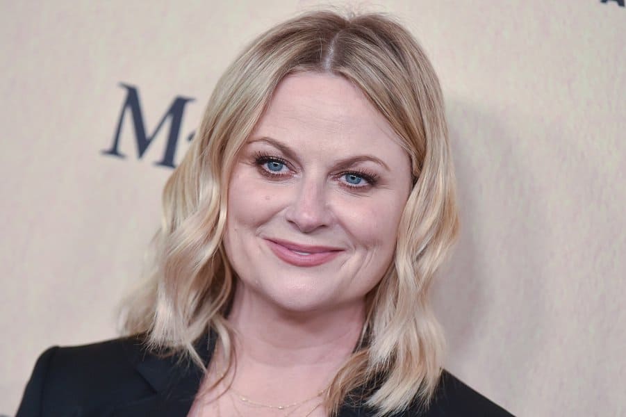 Amy Poehler