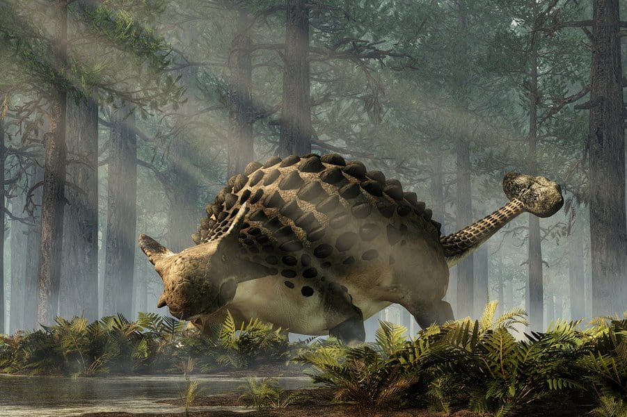 Ankylosaurus