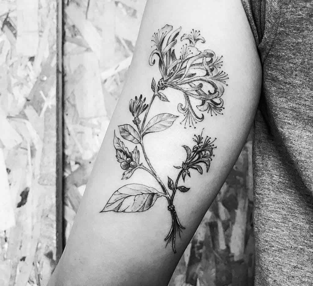 Elegant arm tattoo of honeysuckle flowers and leaves, showcasing fine linework and realism