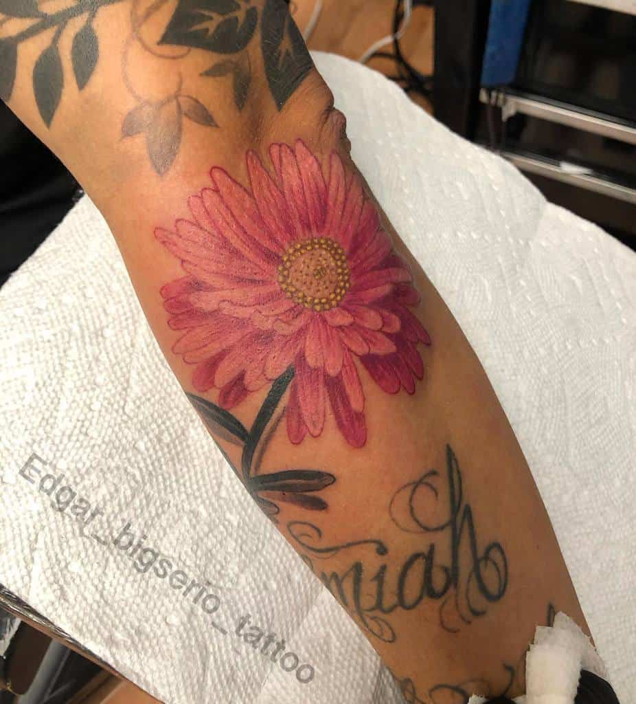 A pink aster flower tattoo on the forearm, symbolizing love and patience