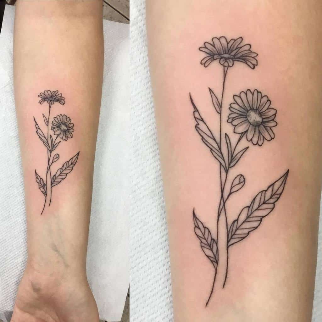 A simple black line forearm tattoo featuring two aster flowers, symbolizing innocence and strength