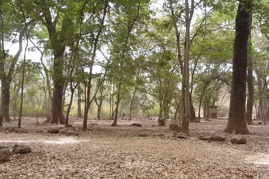 I hope I'm not interrupting at an inconvenient time