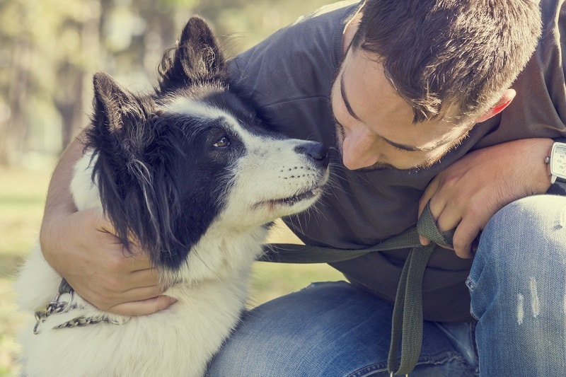 Be a responsible pet owner - 100+ Plus Ways To Be A Better Man