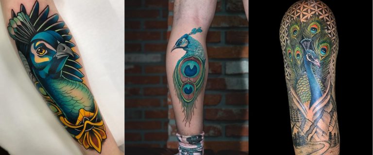 Best Peacock Tattoos