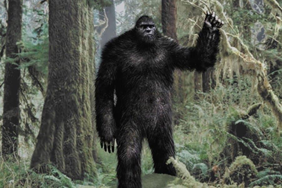 Bigfoot