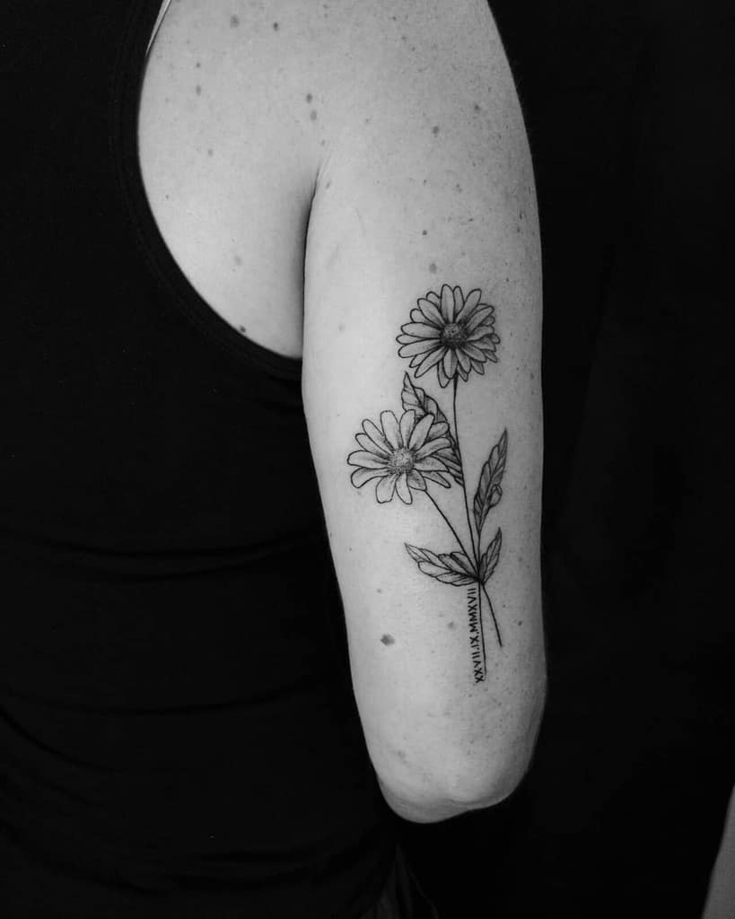 Black and white tattoo of two aster flowers with leaves on a person's upper arm