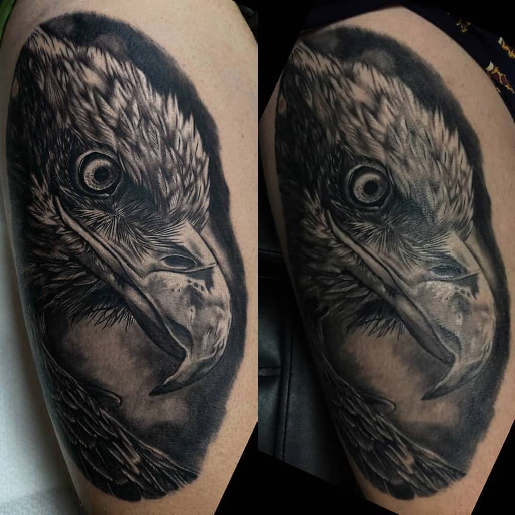 Detailed black and grey tattoo of a realistic eagle's head on an arm