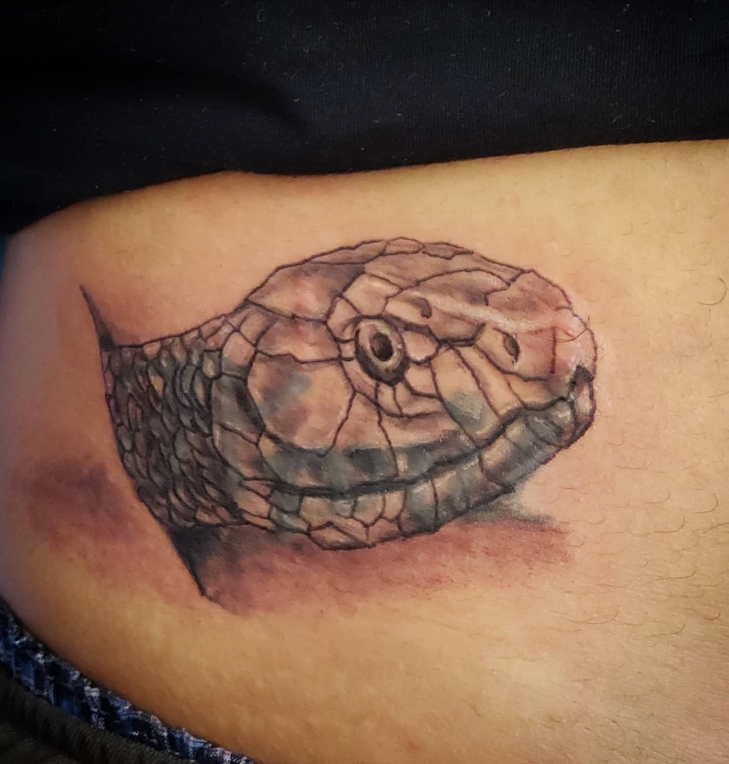 A detailed snake tattoo on skin, showcasing a lifelike reptile head design