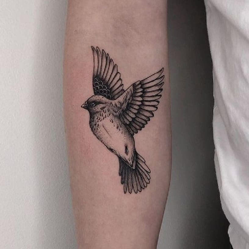 Tattoo of a flying bird on a person's forearm with black and gray detailing