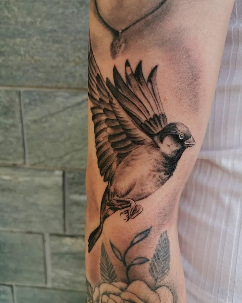 Tattoo of a bird with detailed wings on a forearm