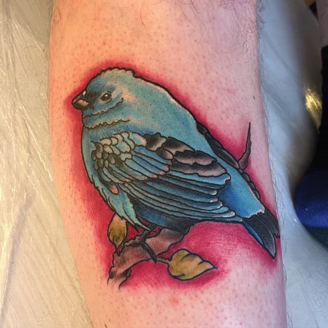 Tattoo of a detailed blue bird perched on a branch with a reddish background on a leg