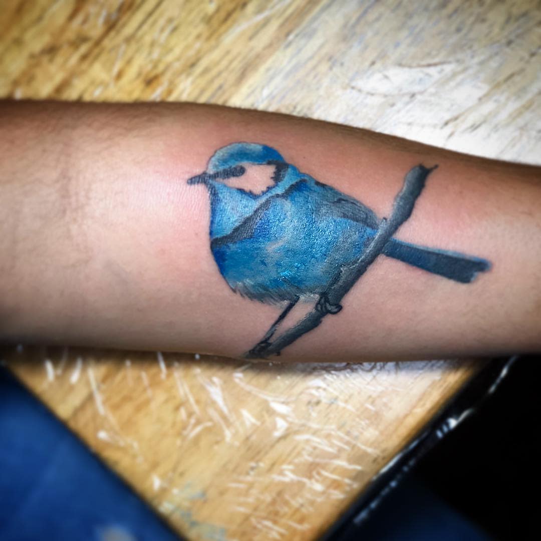 Tattoo of a blue bird perched on a branch, located on an arm