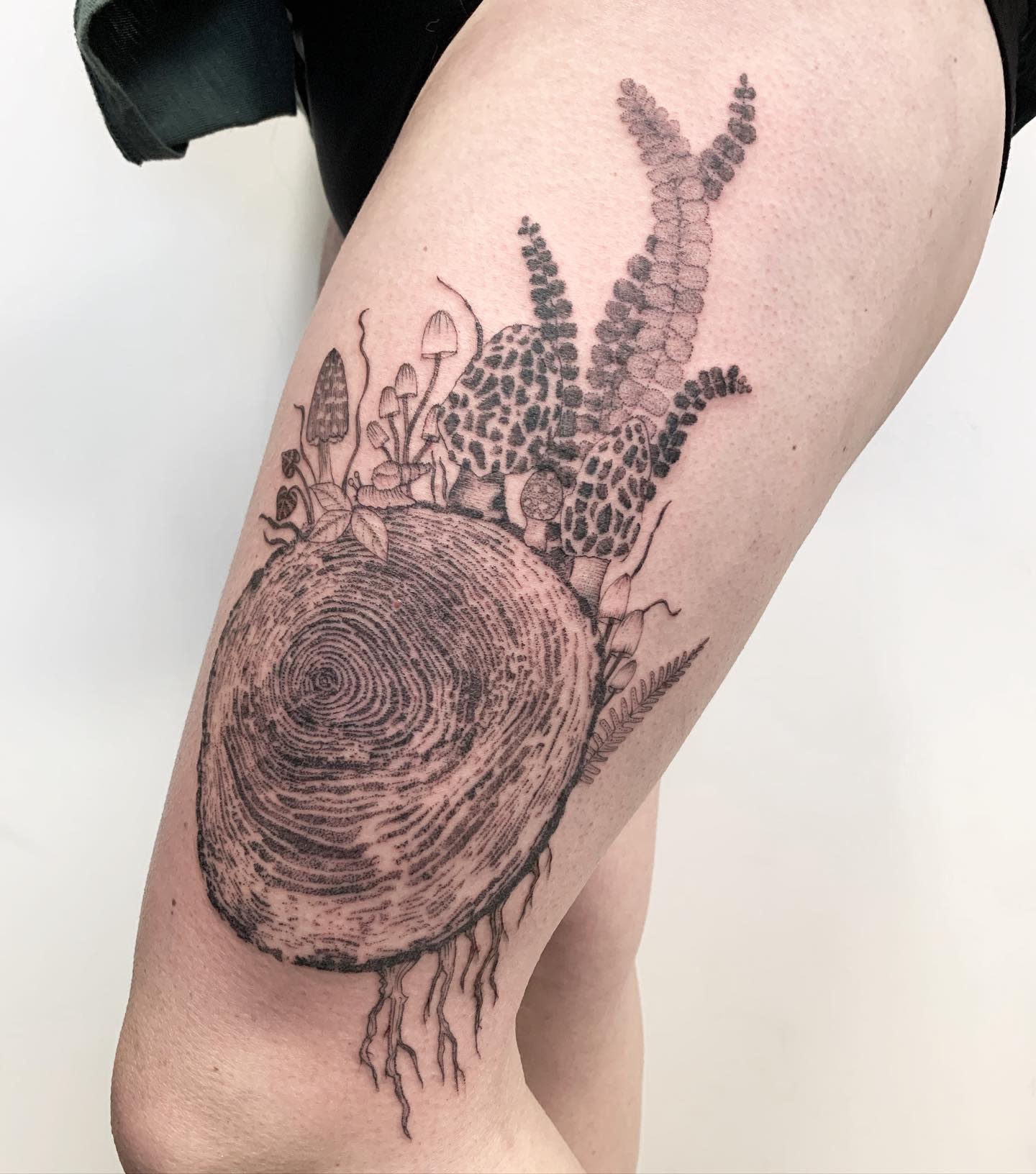 Tattoo of a tree ring with mushrooms and ferns on a thigh