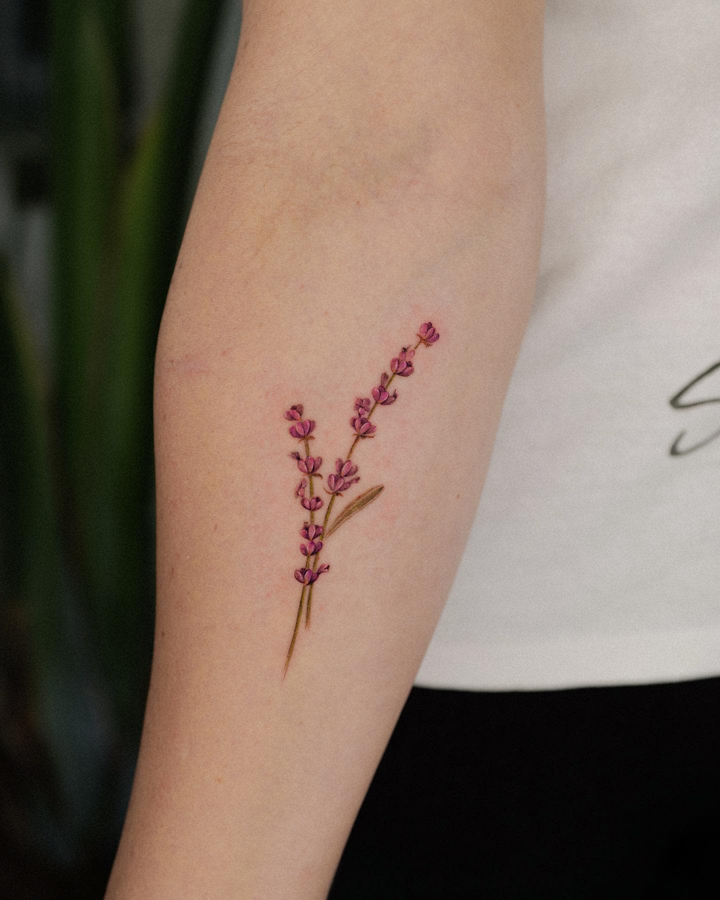 A lavender flower tattoo on a forearm