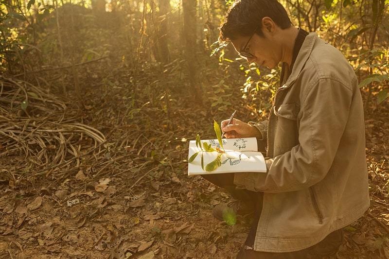 Botanist - Best Outdoor Jobs For Outdoorsmen