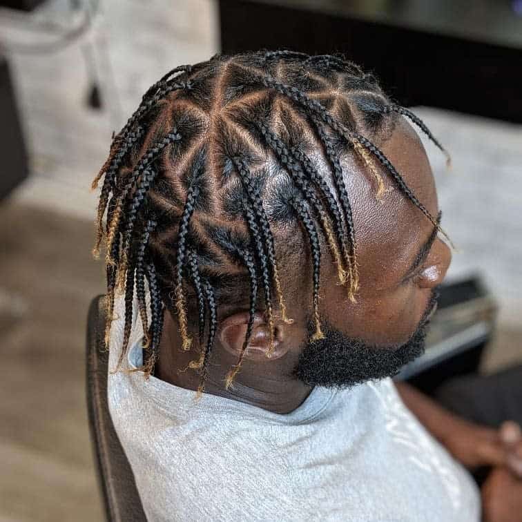 Man With Box Braids Hairstyle With Color