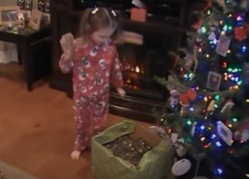 Box of Rocks Birthday Present