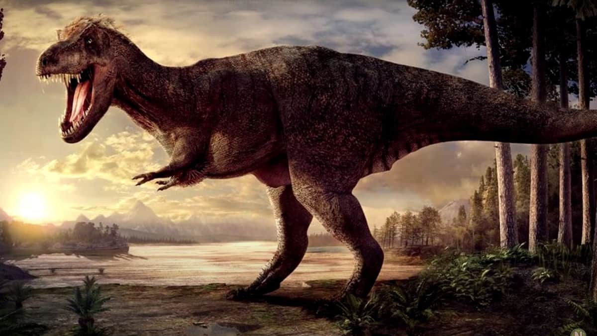 Burrunjor Australian Mythical Creature