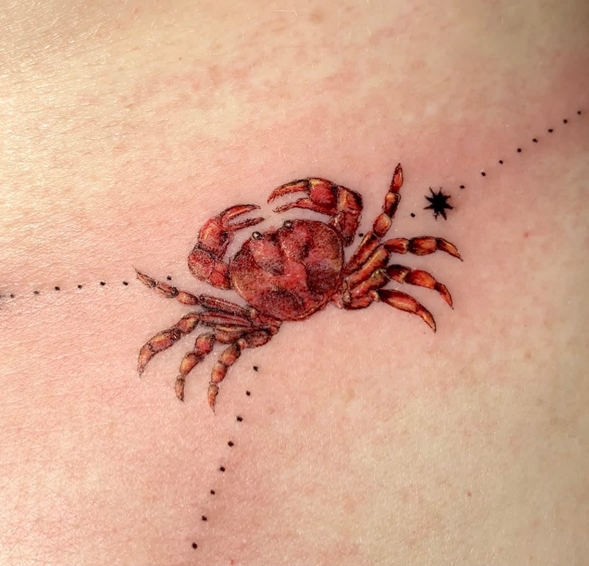 Tattoo of a realistic crab with dotted lines and a small star symbol on light skin