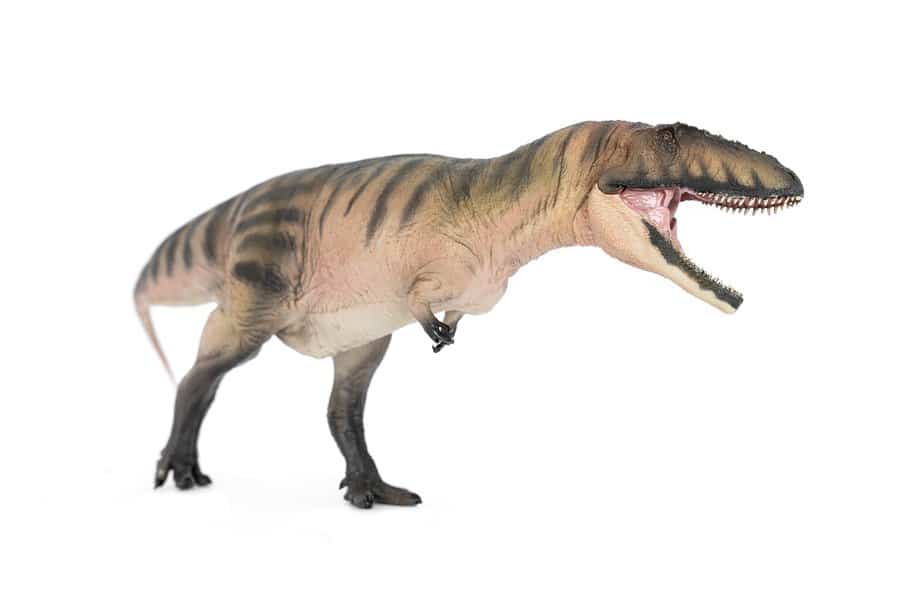 Carcharodontosaurus