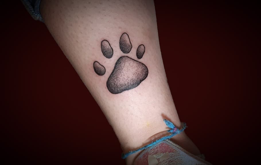 Tattoo of a shaded cat paw print on an ankle