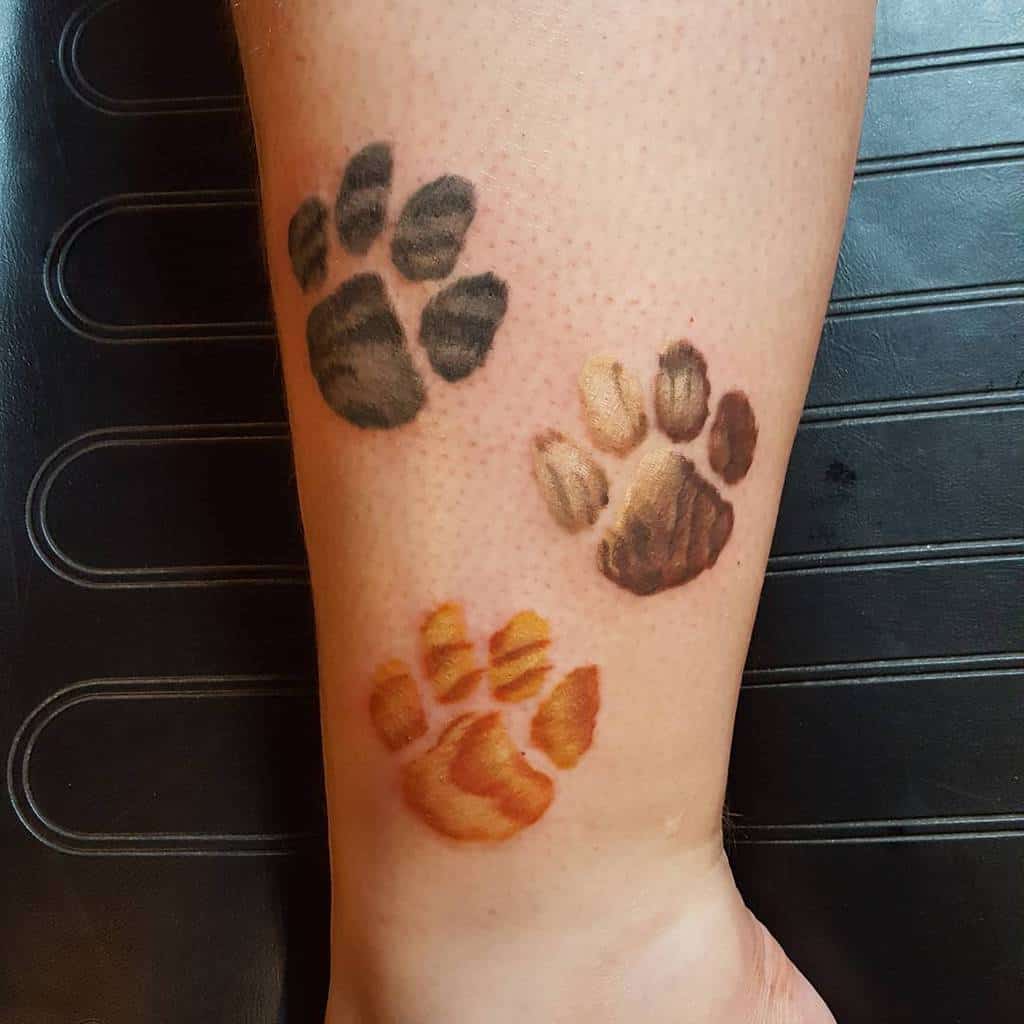 Three realistic cat paw print tattoos in black, brown, and orange ink adorn a leg
