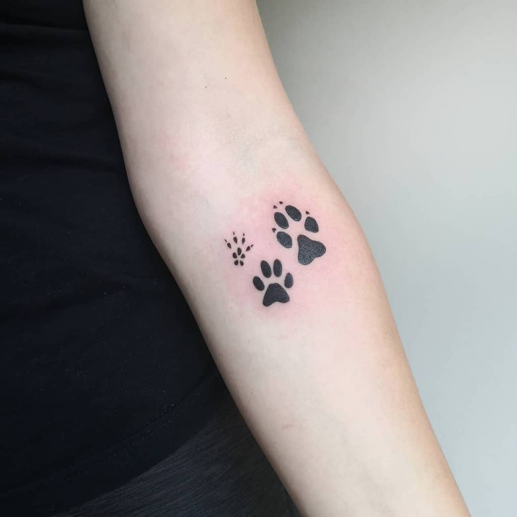 Tattoo of variously sized black cat paw prints on a person's forearm
