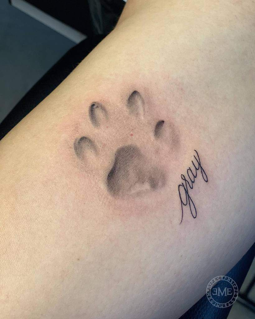 Tattoo of a shaded cat paw print with the name "Gray" written beside it in cursive on forearm